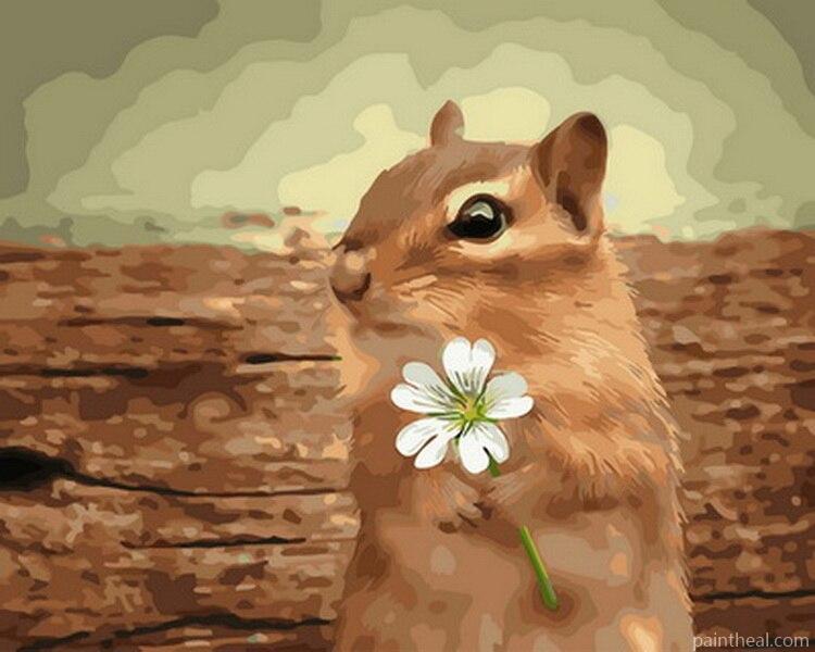 Squirrel With Flower Painting By Numbers Kits