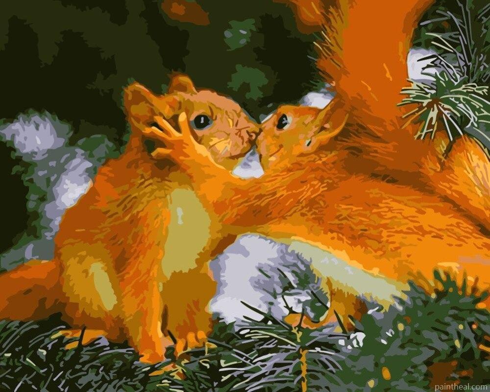 Squirrels Kiss Painting By Numbers Kits