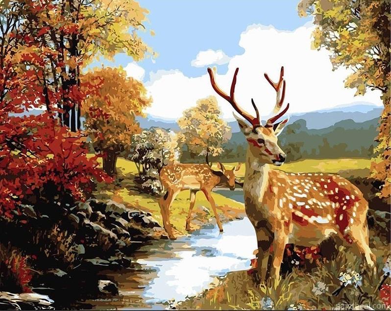 Deer In The River Painting By Numbers Kits