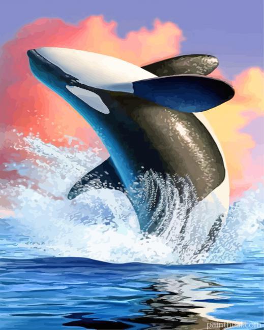 Orca Fish Painting By Numbers Kits