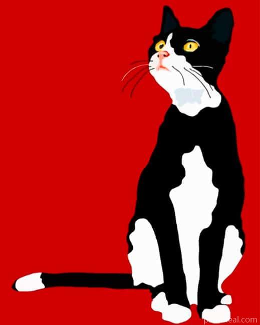 Black Cat Illustration Painting By Numbers Kits