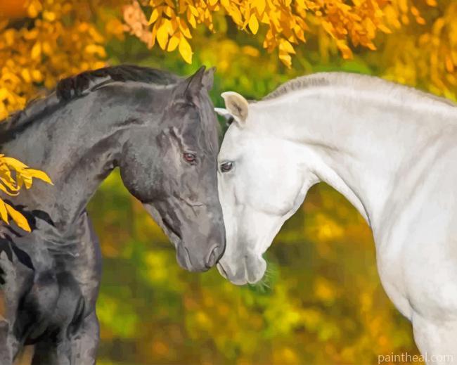 Black and White Horses Painting By Numbers Kits