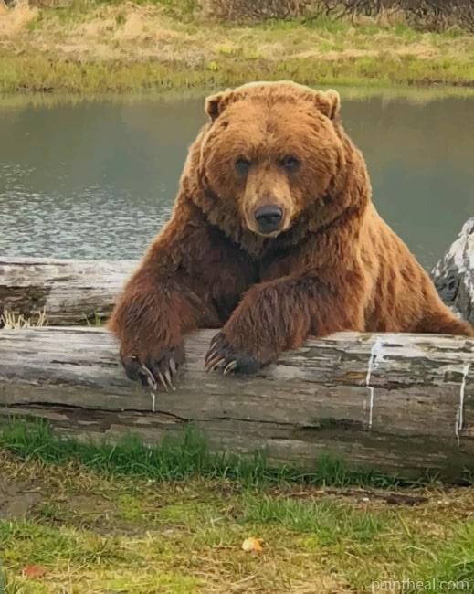 Brown Bear Painting By Numbers Kits