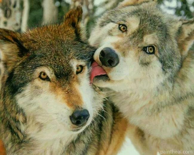 Wolves Animals Painting By Numbers Kits