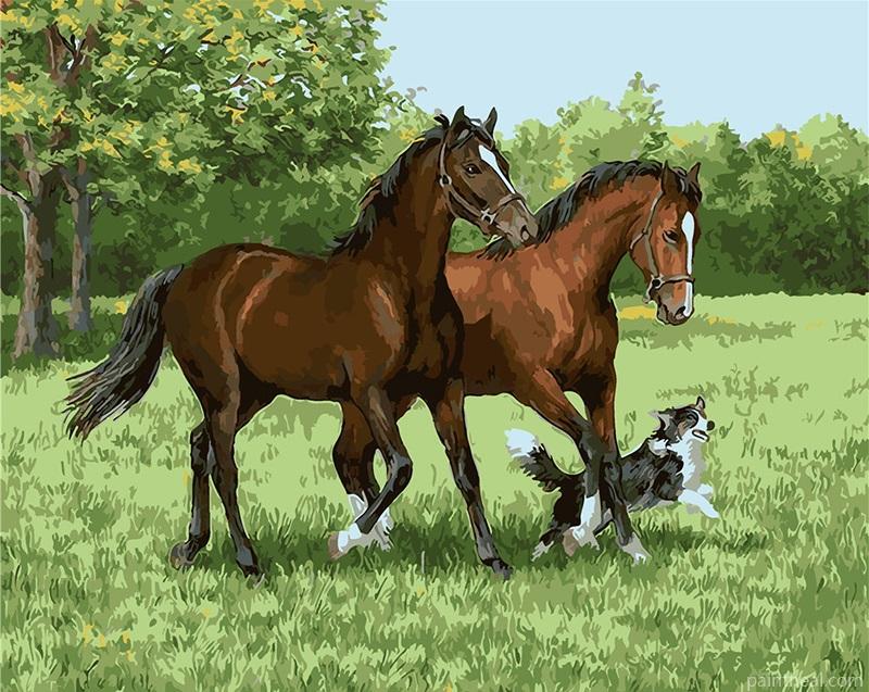 Two Horses and Dog Painting By Numbers Kits