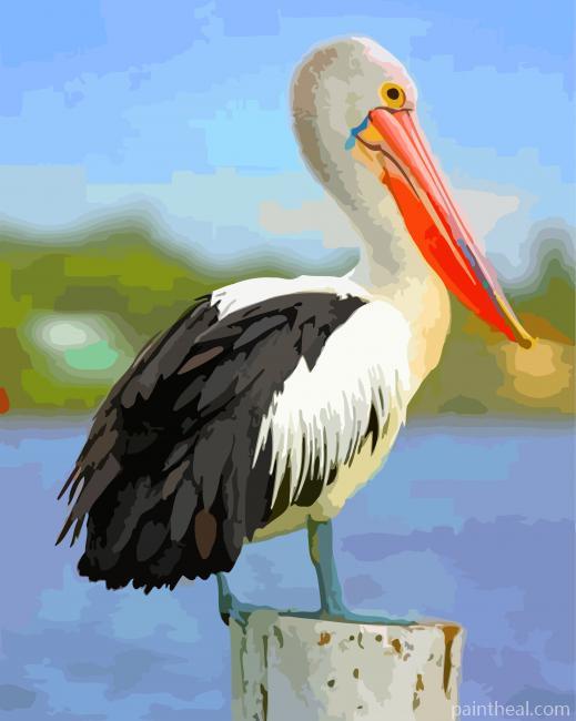 Black And White Pelican Painting By Numbers Kits