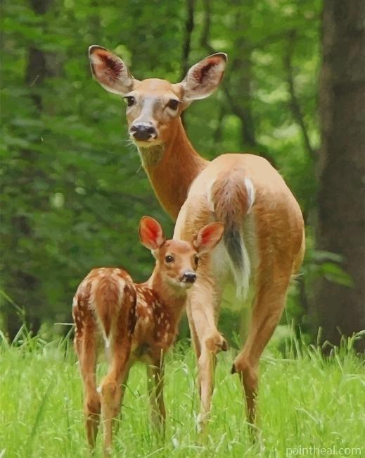Fawn Deer Animals Painting By Numbers Kits