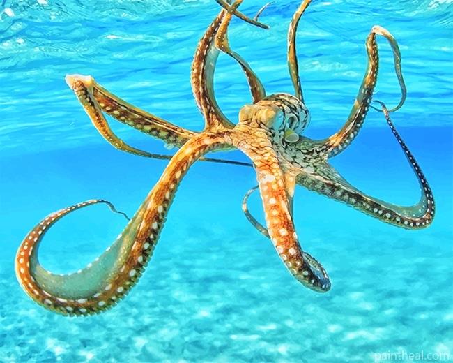 Octopus In The Ocean Painting By Numbers Kits