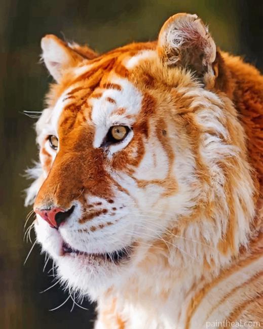 Golden Tiger Painting By Numbers Kits