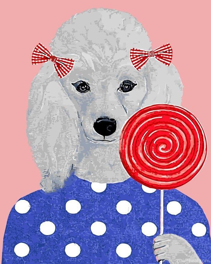 Poodle Dog Eating Lollipop Painting By Numbers Kits