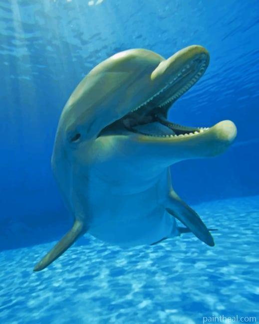 Dolphin Underwater Painting By Numbers Kits