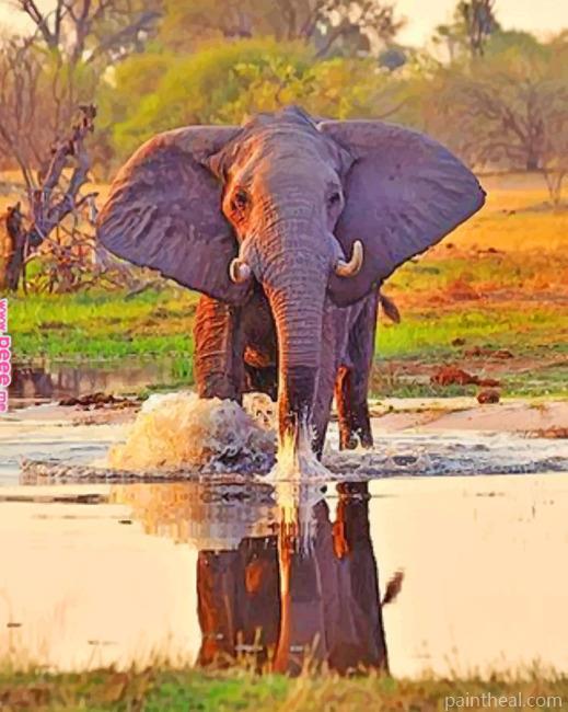 African Elephant In Water Painting By Numbers Kits
