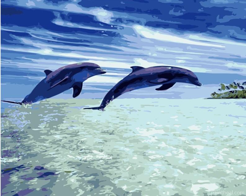 Dolphins Jumping In The Ocean Painting By Numbers Kits