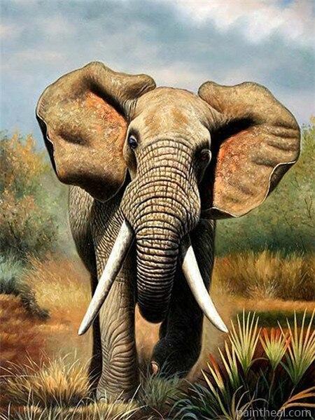 African Elephant Painting By Numbers Kits