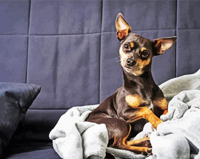 Miniature Pinscher Puppy Painting By Numbers Kits