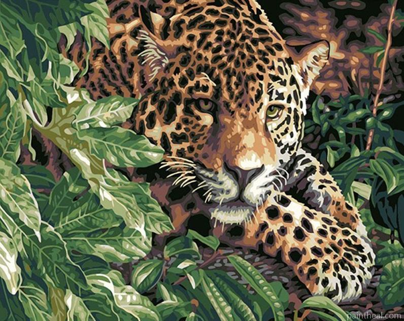 Leopard In Jungle Painting By Numbers Kits