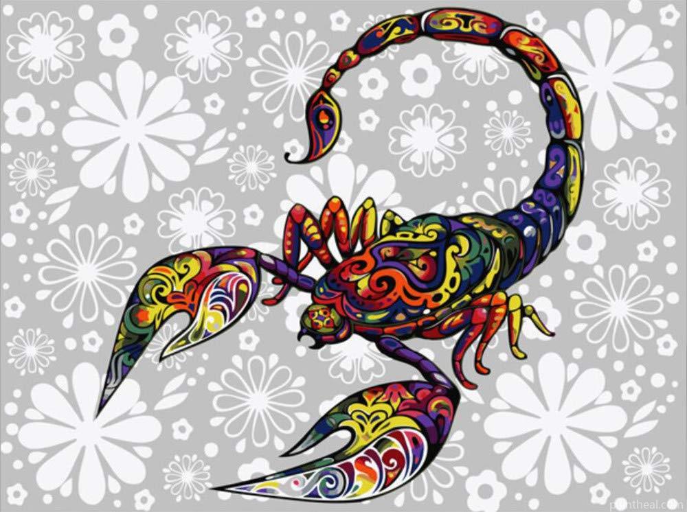 Colorful Scorpion Art Painting By Numbers Kits