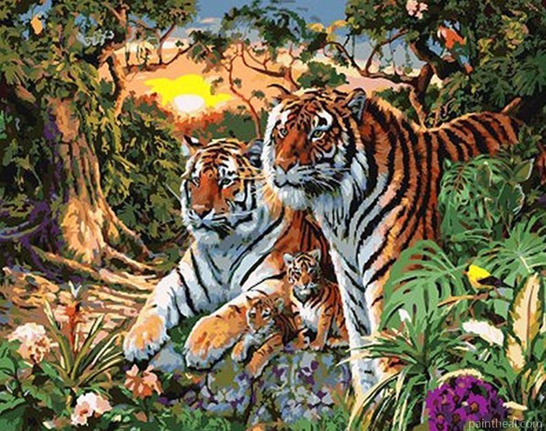 Tiger Family In Jungle Painting By Numbers Kits