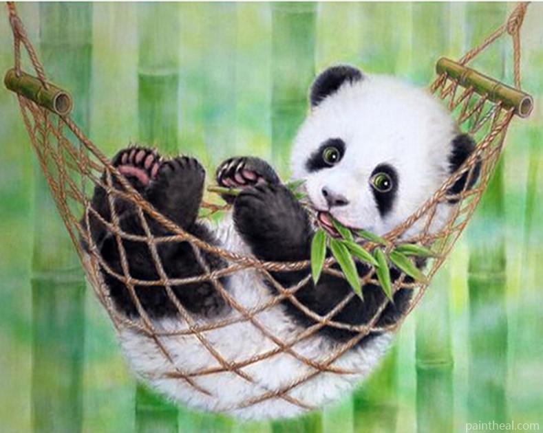 Panda In Hammock Painting By Numbers Kits