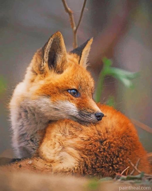 Baby Fox Painting By Numbers Kits