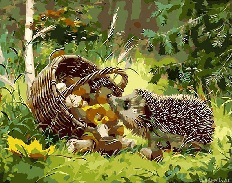 Hedgehog And Food Basket Painting By Numbers Kits