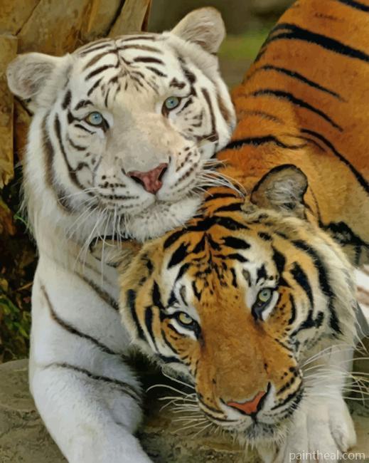 White And Brown Tiger Painting By Numbers Kits
