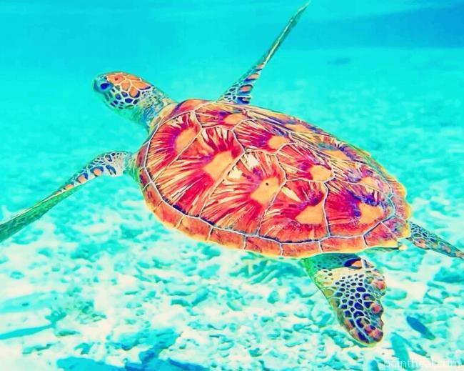 Loggerhead Sea Turtle Painting By Numbers Kits