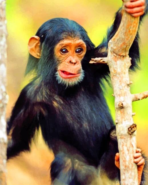 Little Black Monkey Painting By Numbers Kits
