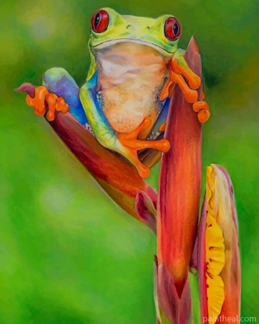 Red Eyes Tree Frog Painting By Numbers Kits