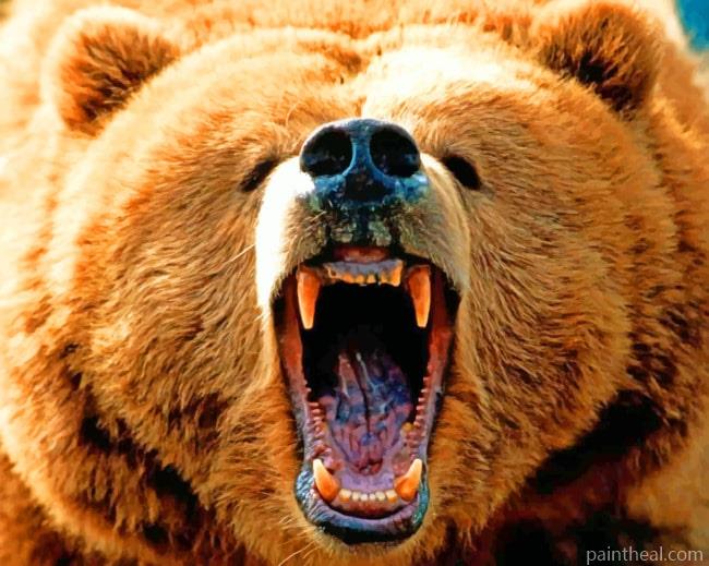 Vicious Wild Bear Painting By Numbers Kits
