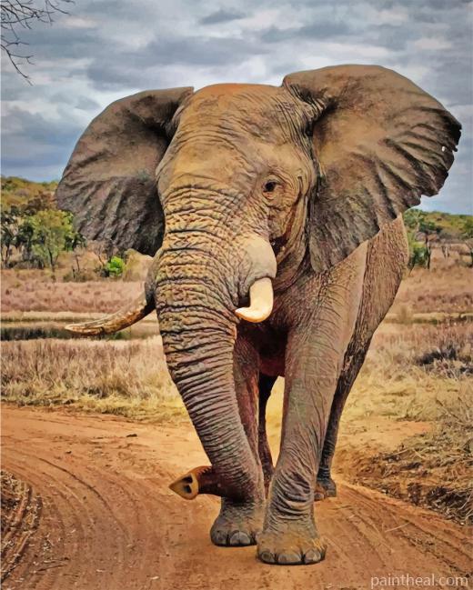 Elephant In Jungle Painting By Numbers Kits