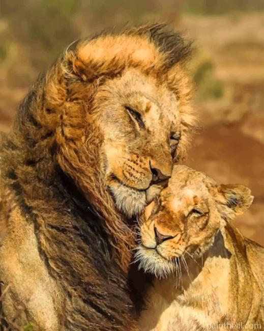 Lion and Lioness Painting By Numbers Kits