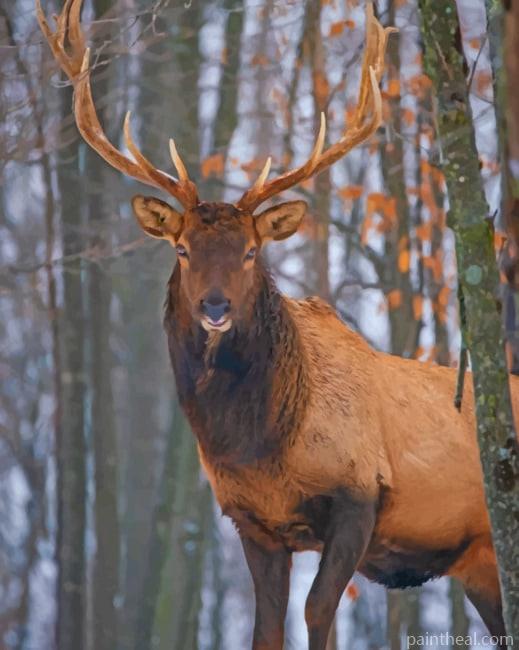 Elk Deer Painting By Numbers Kits