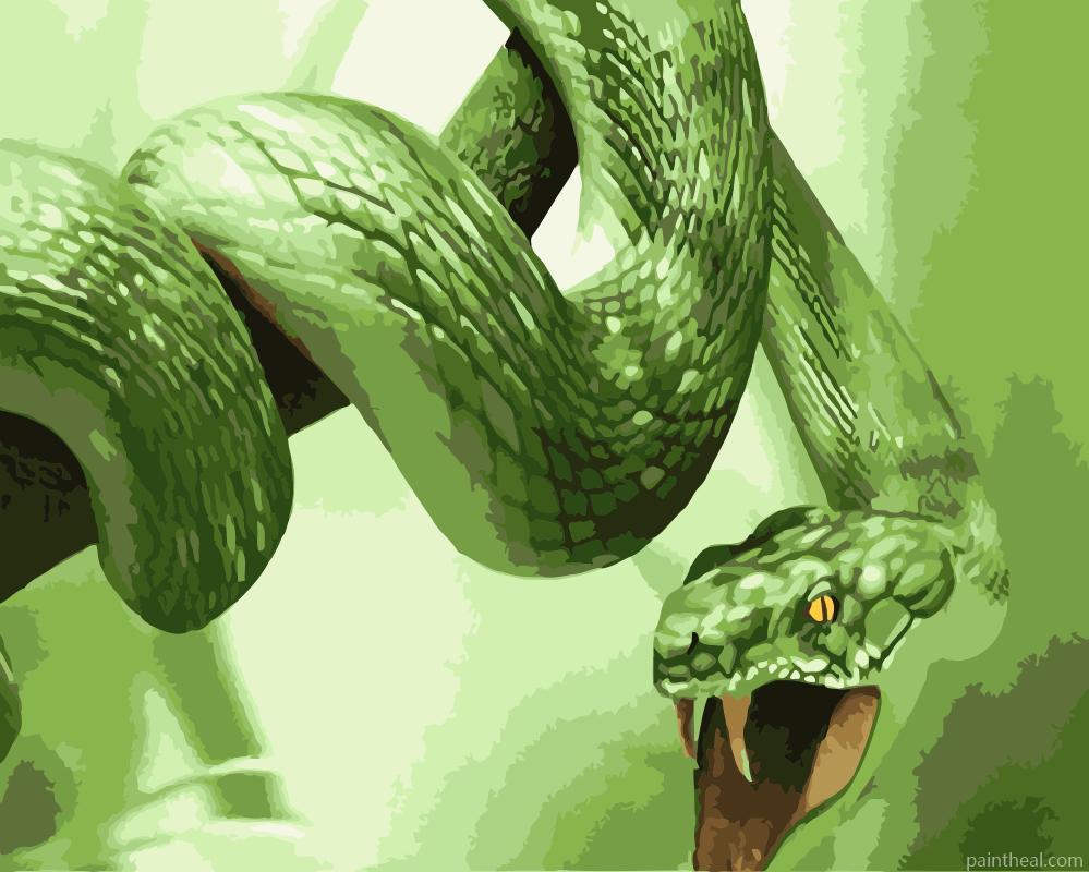 King Cobra Snake Painting By Numbers Kits