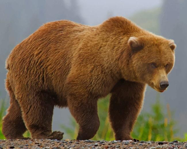 Brown Bear In Jungle Painting By Numbers Kits