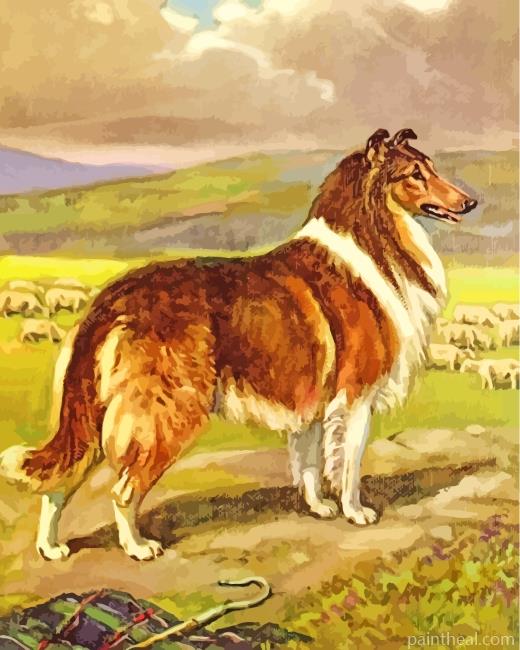 Collie Dog Art Painting By Numbers Kits