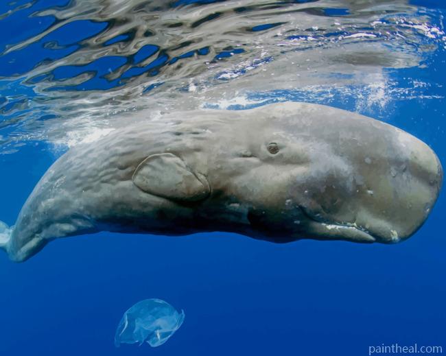 Whale In Ocean Water Painting By Numbers Kits
