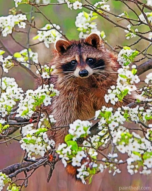 Raccoon In Blossoms Painting By Numbers Kits