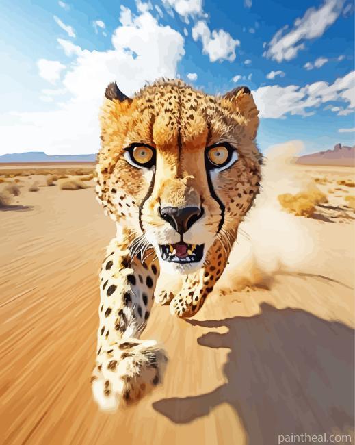 Running Cheetah Painting By Numbers Kits