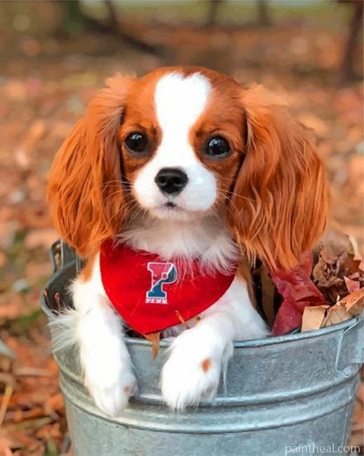 Cute Cavalier Painting By Numbers Kits