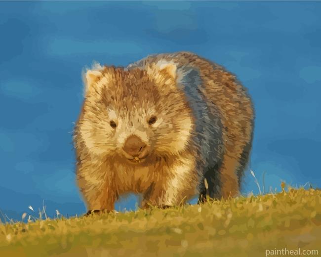 Australia Wombat Painting By Numbers Kits