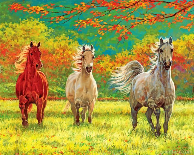 Wild Horses Painting By Numbers Kits
