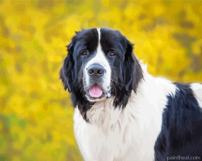 Landseer Dog Animal Painting By Numbers Kits