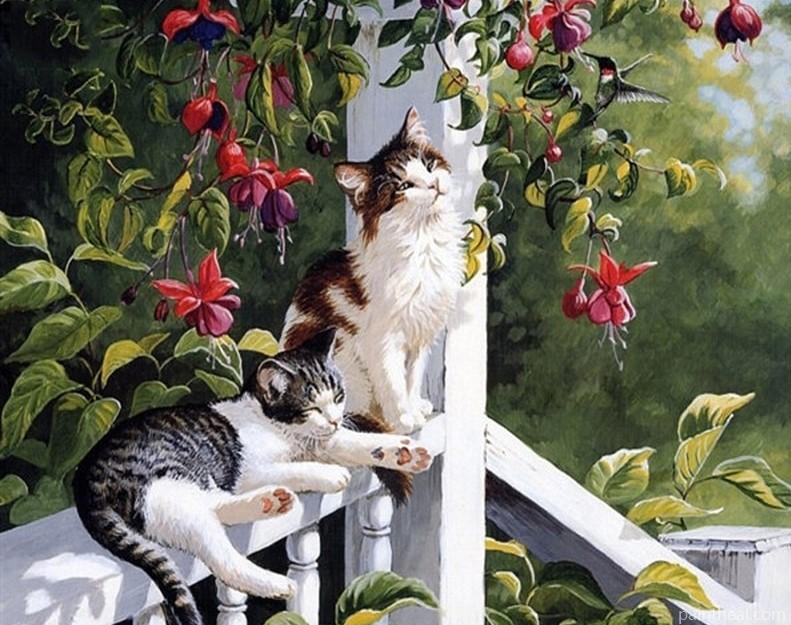 Cats On Fence Painting By Numbers Kits
