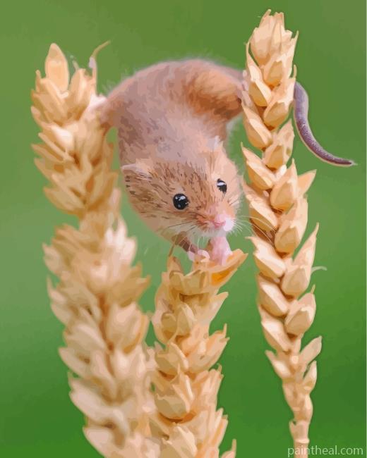 Hamster Trying To Eat Painting By Numbers Kits