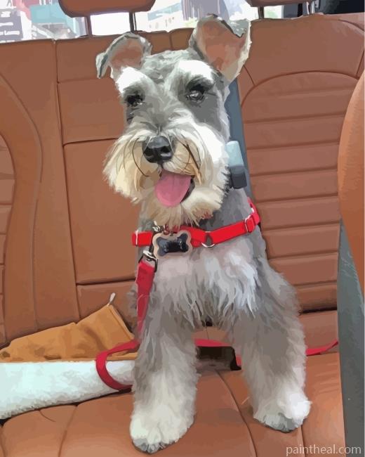 Miniature Schnauzer Painting By Numbers Kits
