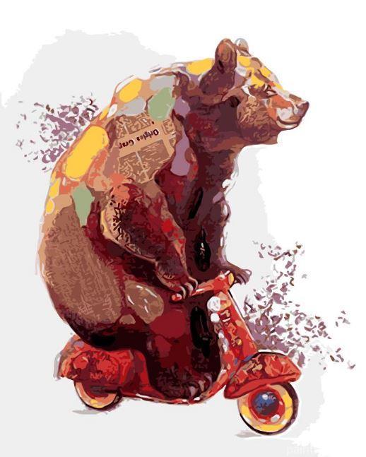 Bear Ride Bike Painting By Numbers Kits