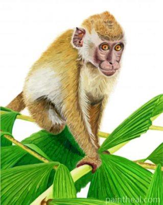 Macaque Monkey Painting By Numbers Kits