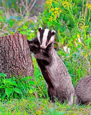 Badger Animal Painting By Numbers Kits