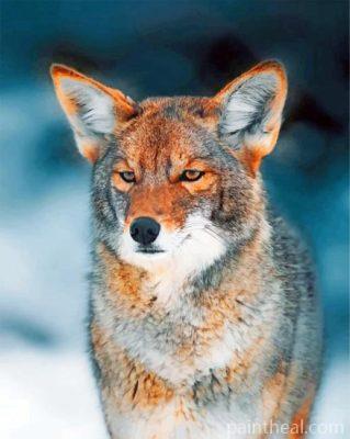 Coyote Painting By Numbers Kits